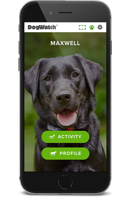 West Dakota DogWatch, Bismarck, North Dakota | SmartFence WebApp Image